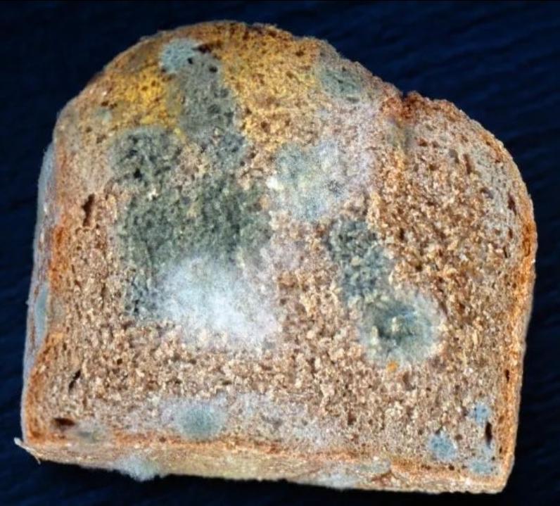 TheRobLuck tweet media