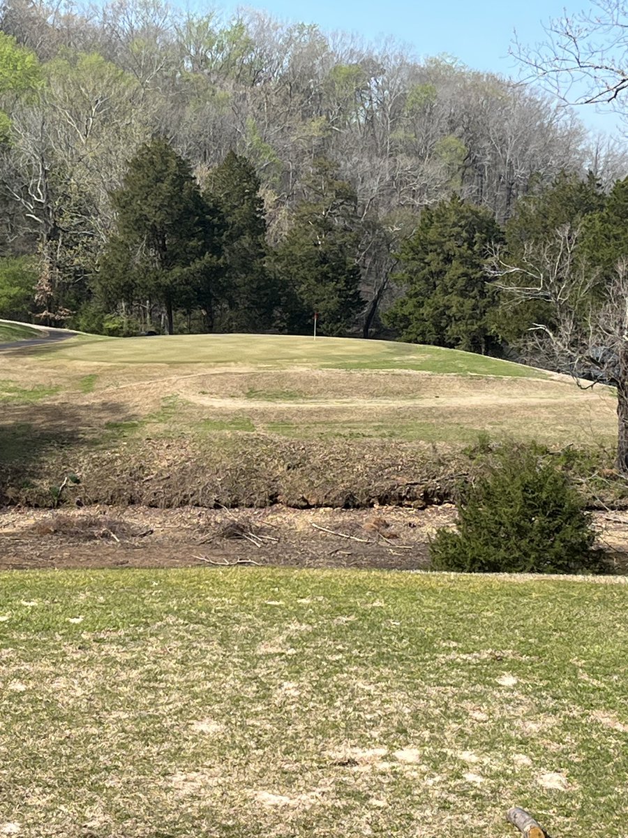 BamaGoose 🦢 tweet media