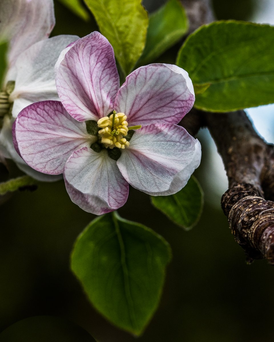 Sunchild tweet media