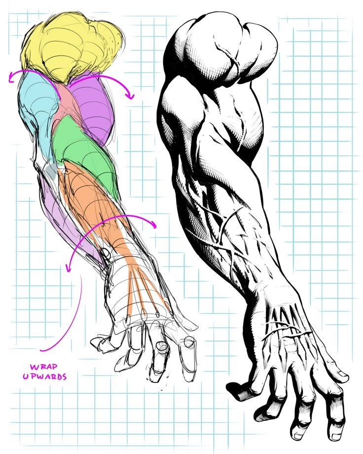 Cook & Tips® tweet media