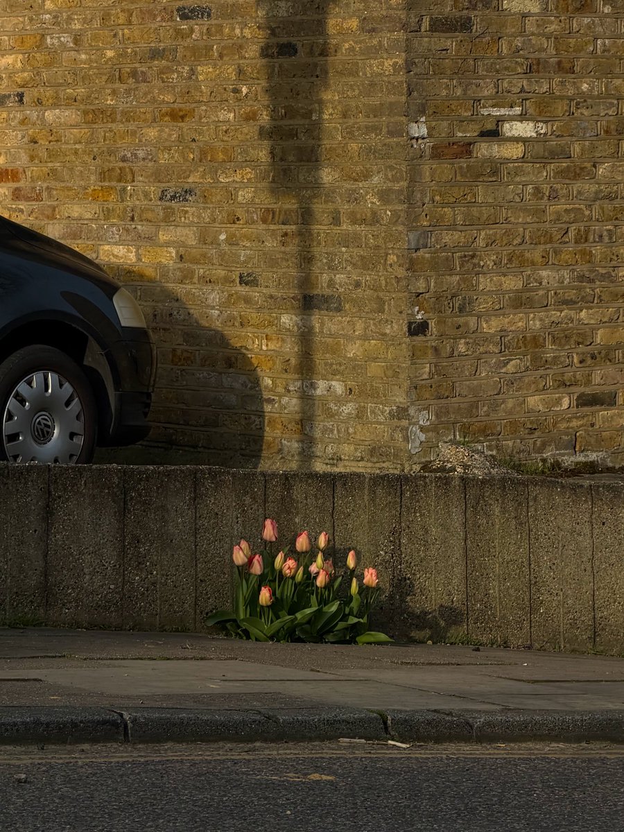 hannah louise tweet media