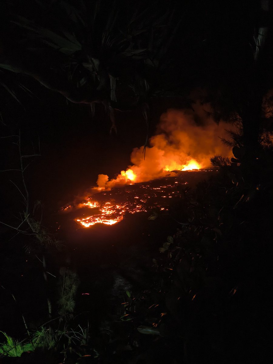 🇷🇪 🐝 tweet media