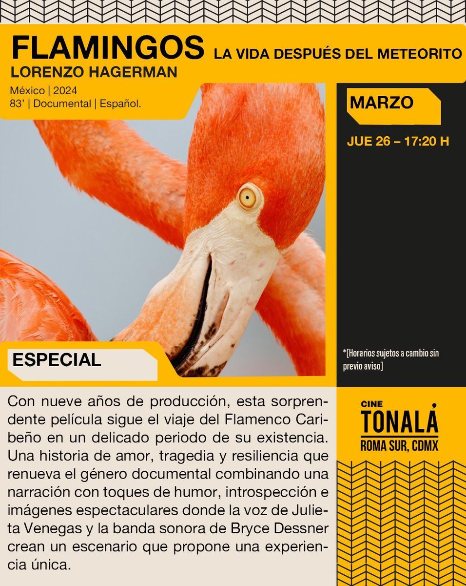 CINE TONALÁ CDMX tweet media