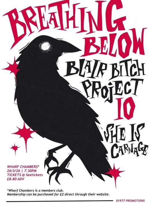 Local Sound Focus tweet media