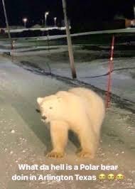 DeviantStrain tweet media