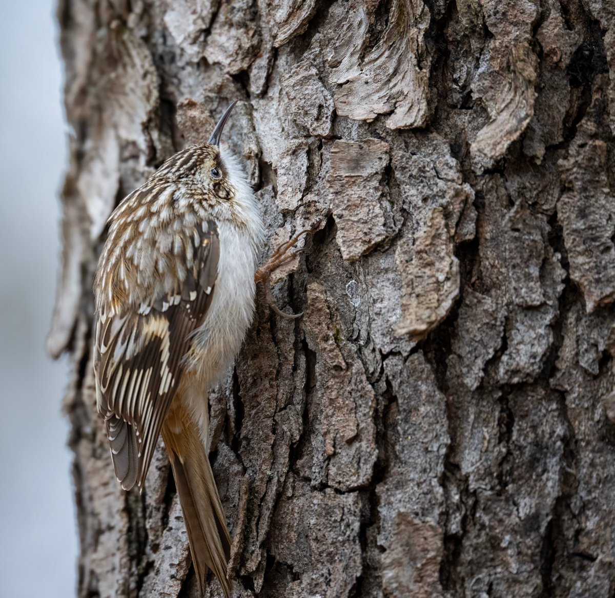 Jocelyn Anderson Photography tweet media