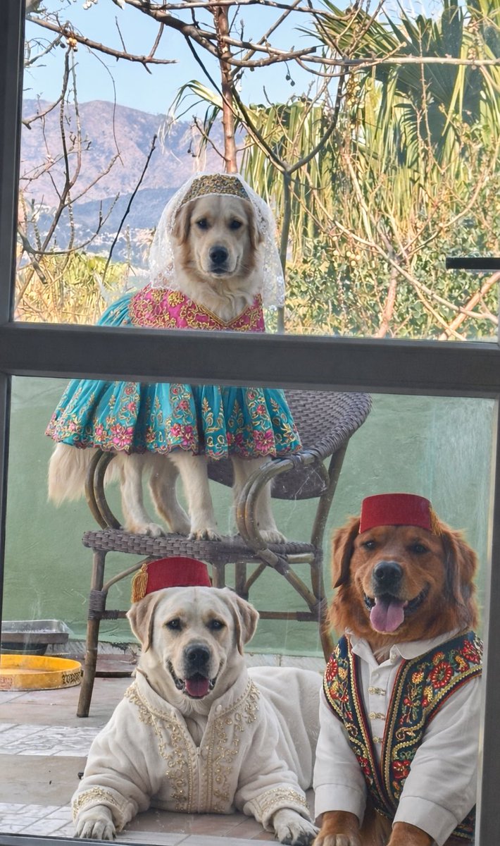 L'éléganceduhérisson tweet media