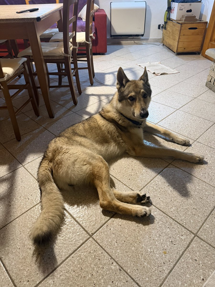 ๐
ผ๐
ฐ๐ ๐
ณ๐
ด๐
ธ ๐๐
พ๐ tweet media