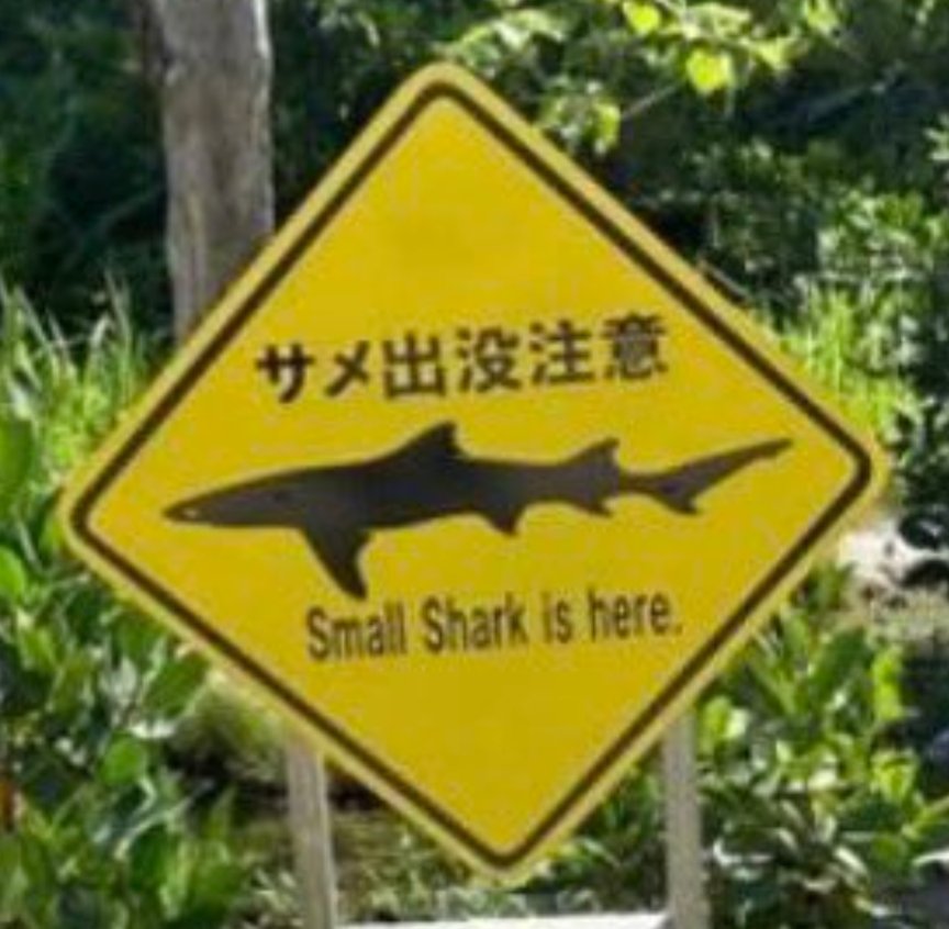 Alexander the Fair to Middling 🏳️‍🌈 tweet media