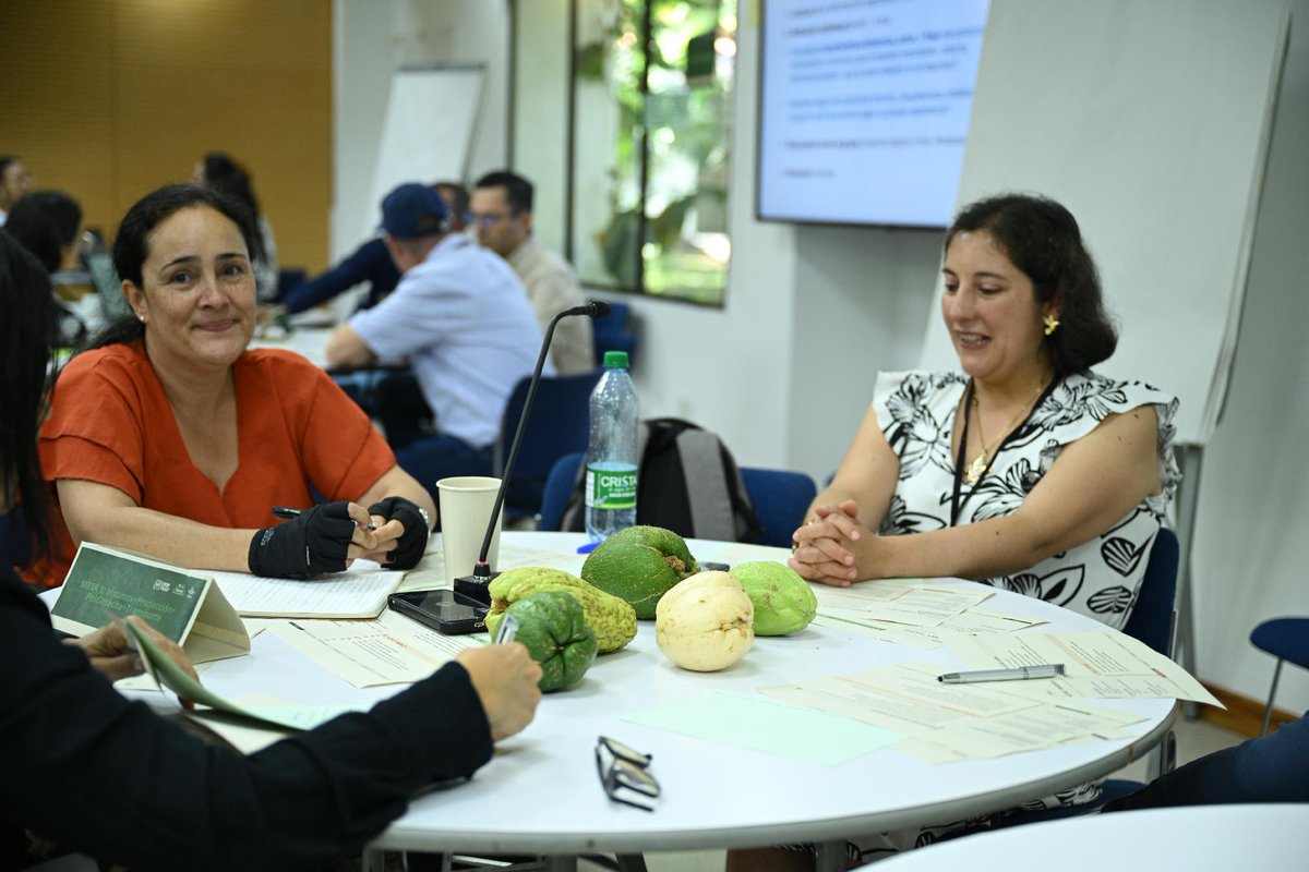 BiovIntCIAT_esp's tweet image. 🌱El chontaduro y la cidra papa son más que alimentos tradicionales: son clave para fortalecer los sistemas agroalimentarios en Colombia 🇨🇴. Alto potencial 🚀, pero aún con brechas en conocimiento, promoción y demanda. Junto @croptrust #PDFF trabajamos para impulsar su impacto 🤝