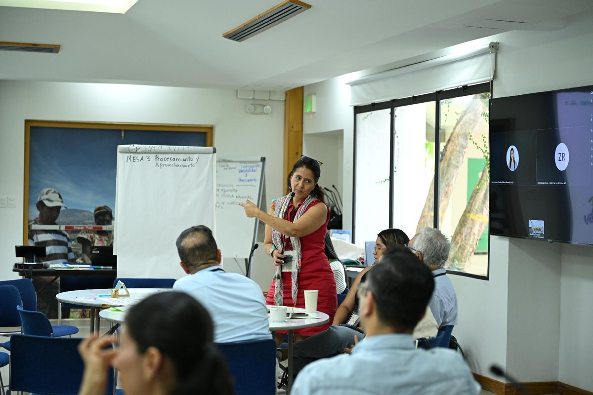 BiovIntCIAT_esp's tweet image. 🌱El chontaduro y la cidra papa son más que alimentos tradicionales: son clave para fortalecer los sistemas agroalimentarios en Colombia 🇨🇴. Alto potencial 🚀, pero aún con brechas en conocimiento, promoción y demanda. Junto @croptrust #PDFF trabajamos para impulsar su impacto 🤝