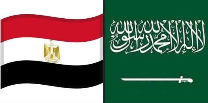 🇪🇬❤🇪🇬Nany Shehab🇸🇦💚🇸🇦 tweet media