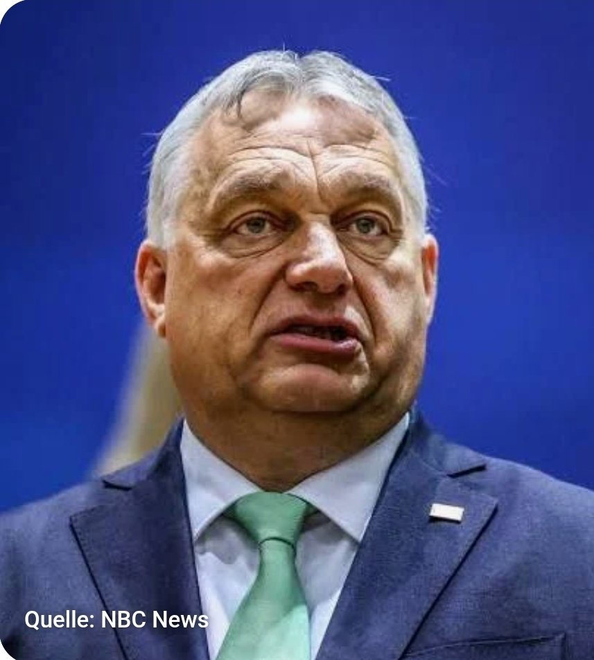 CHARLIE🇺🇦🦩 tweet media