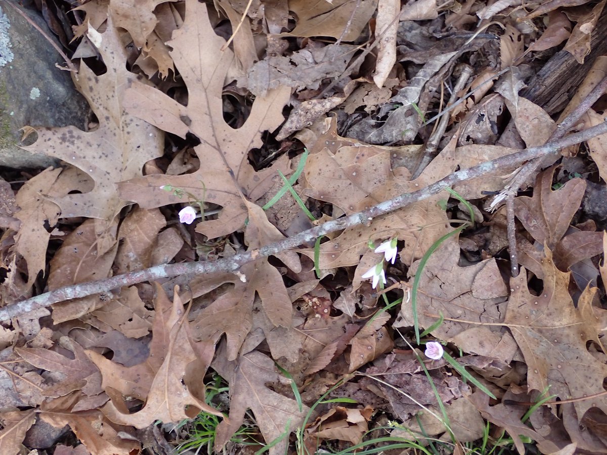 L. Cruz/outdoors is fun tweet media