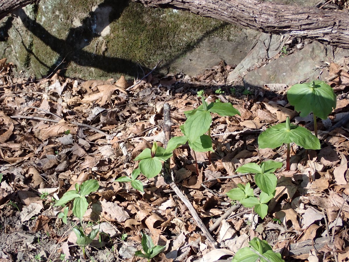 L. Cruz/outdoors is fun tweet media