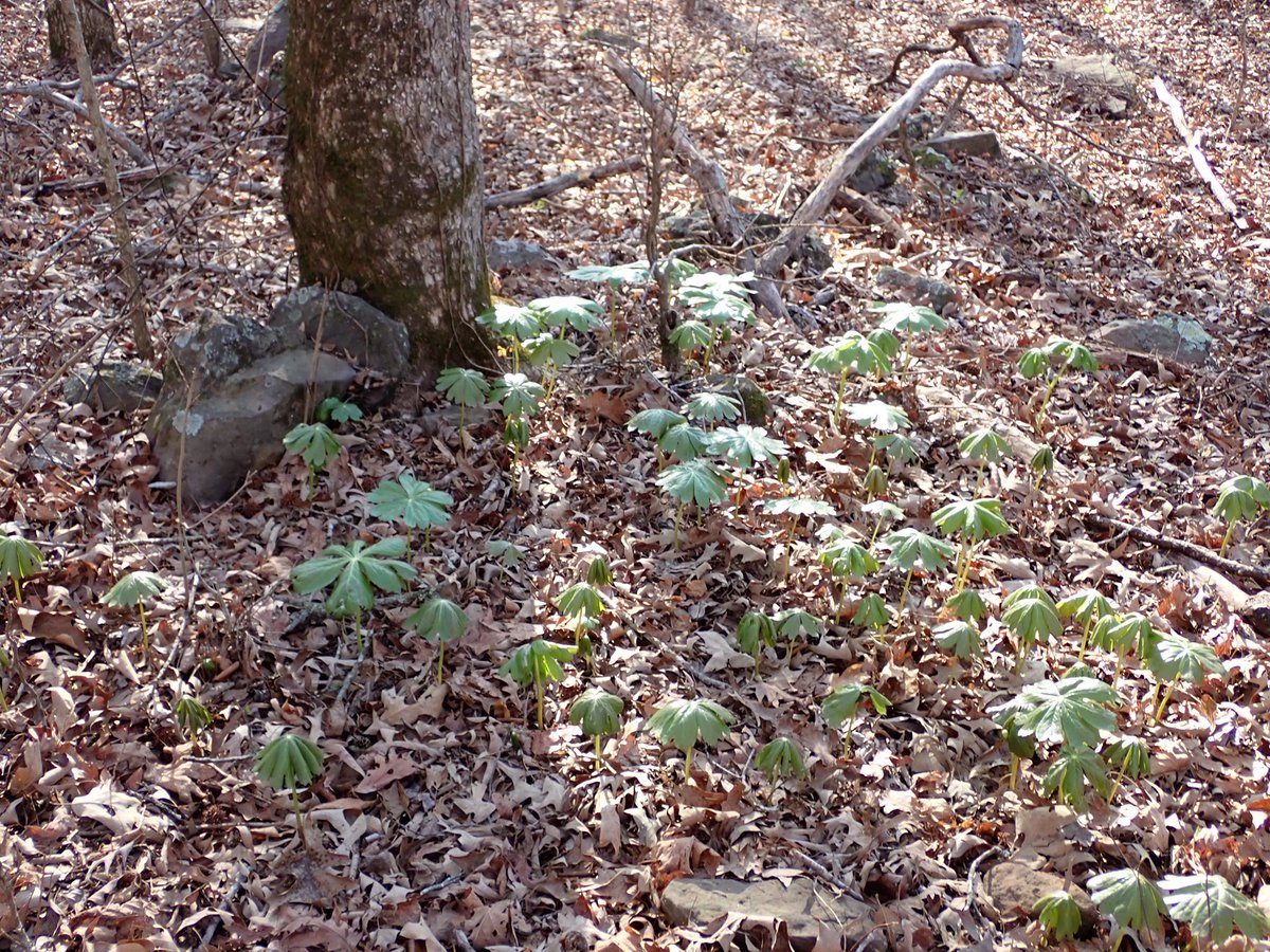 L. Cruz/outdoors is fun tweet media