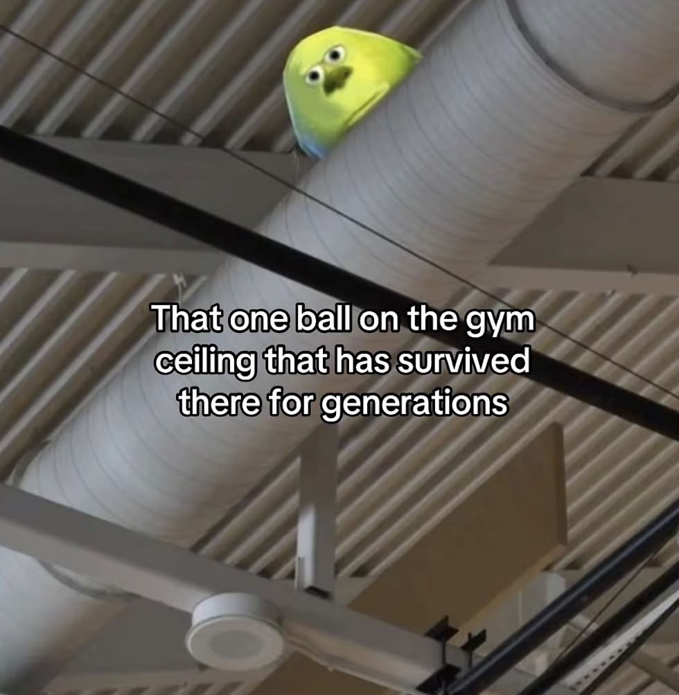 dex 💫 tweet media