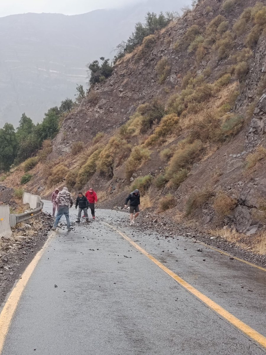 Alejandro Alegria 🌴 tweet media