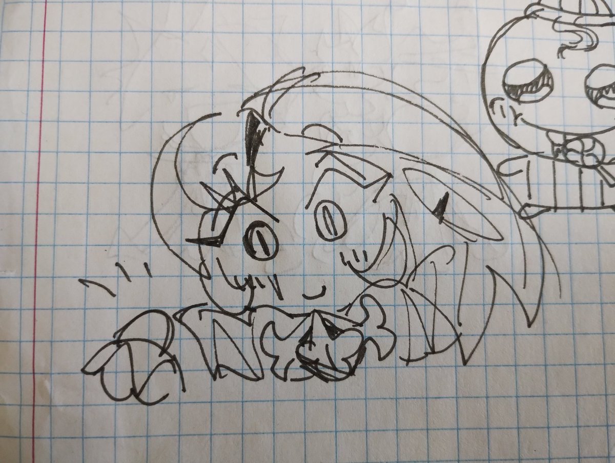 Tako! 🇲🇽 tweet media