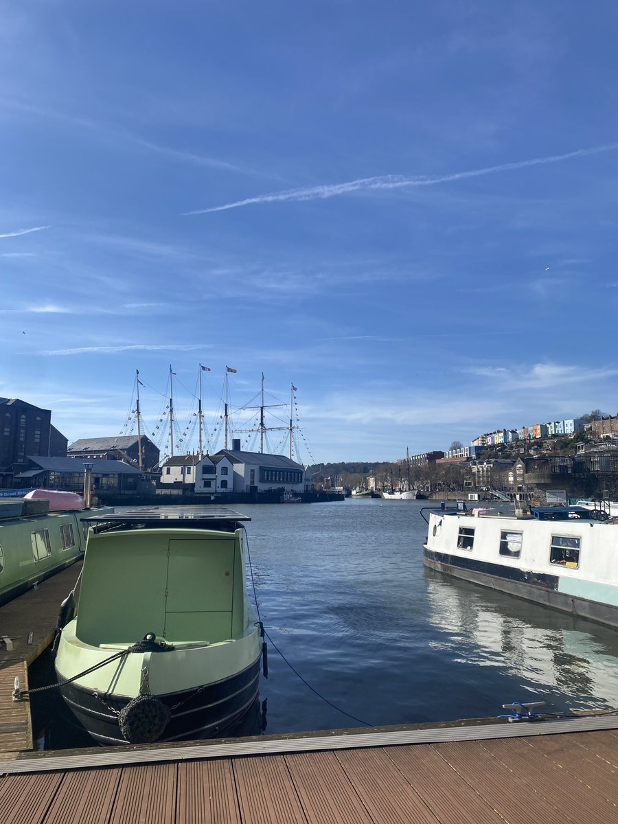 The Robin’s Nest (Tom) tweet media