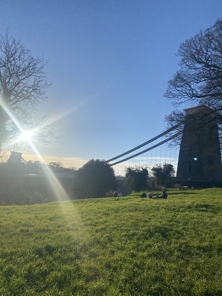 The Robin’s Nest (Tom) tweet media