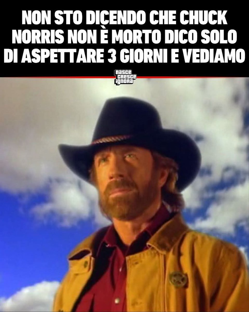 marcopetrachi's tweet photo. @chucknorris https://t.co/0uNSONIg9p