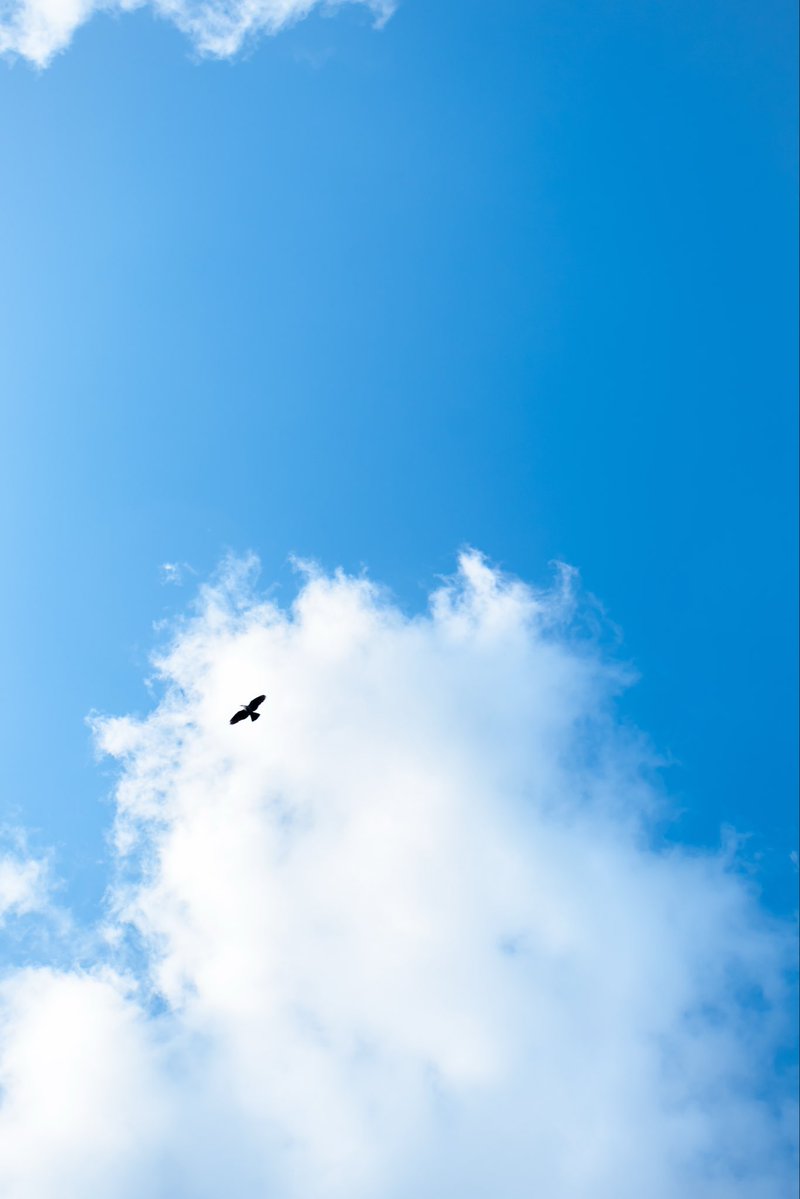 NateVisuals tweet media