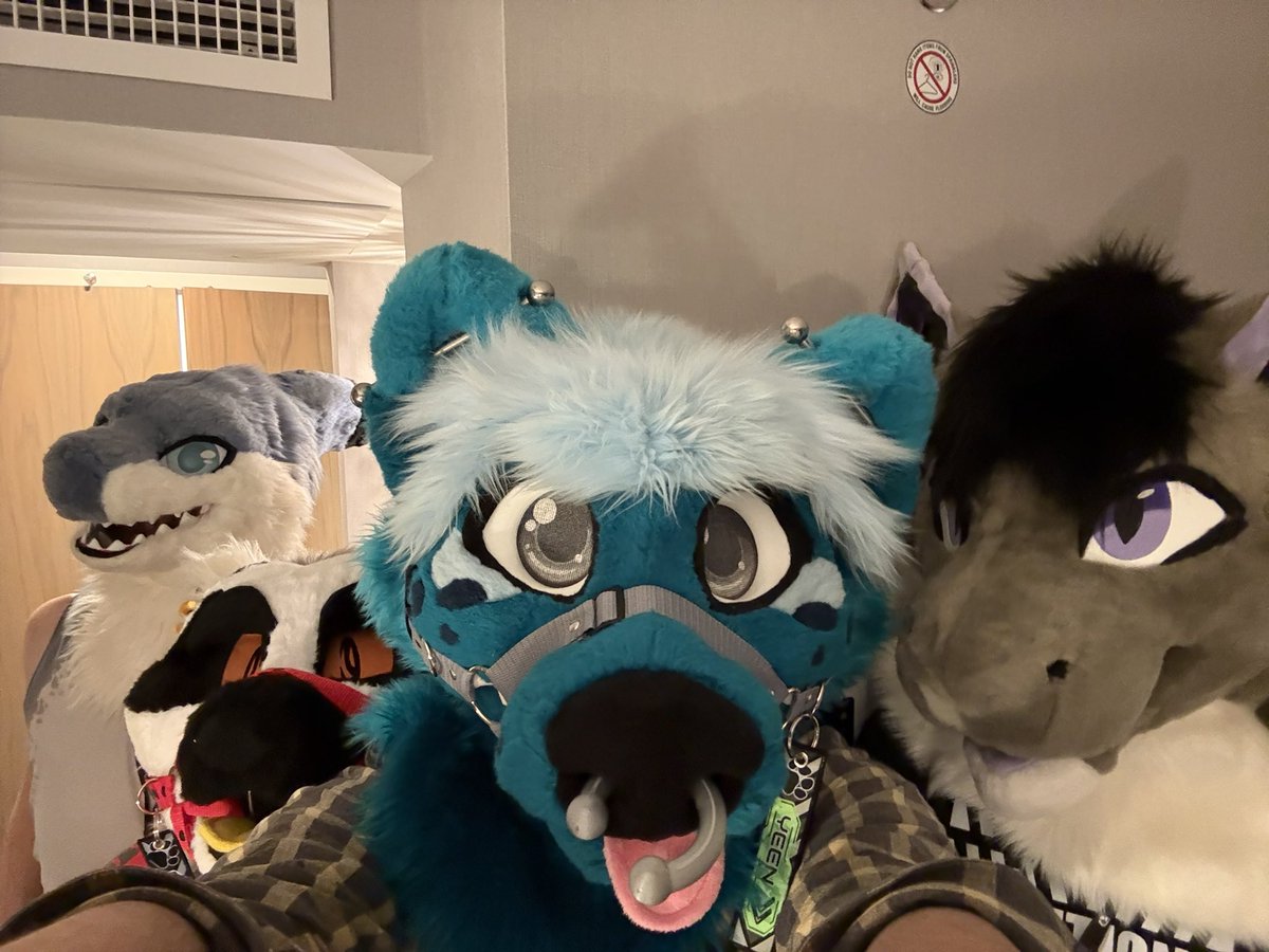 Blu_Fuck🔜FE tweet media