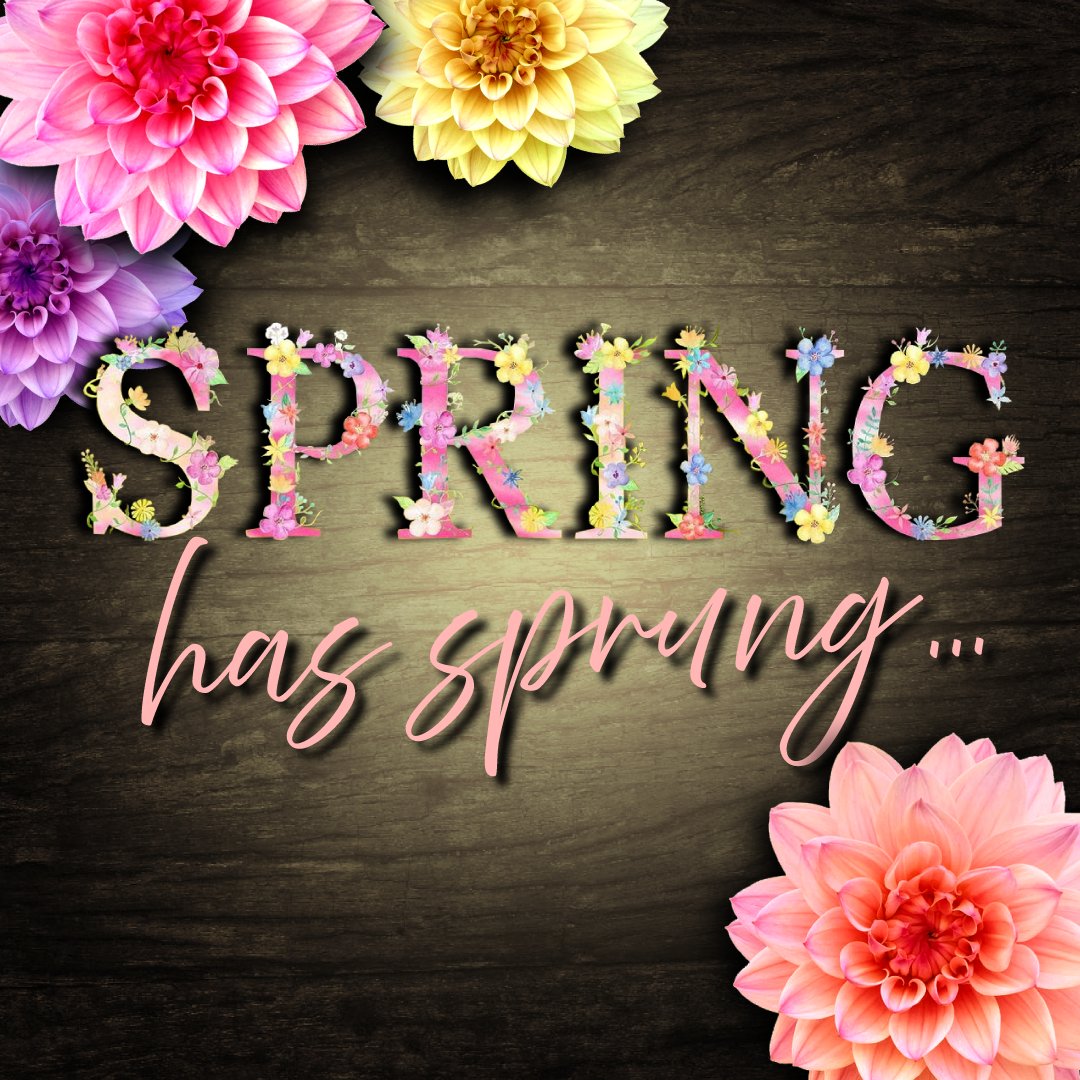 AutomatedResult's tweet image. 🌷 Spring has officially sprung, is your tech ready for a fresh start? Just like you declutter your home, your systems deserve a little spring cleaning too! 
🔄 Update software
🔐 Refresh passwords
⚡ Boost performance
🌸 Fewer glitches and more growth this spring
#1stDayOfSpring