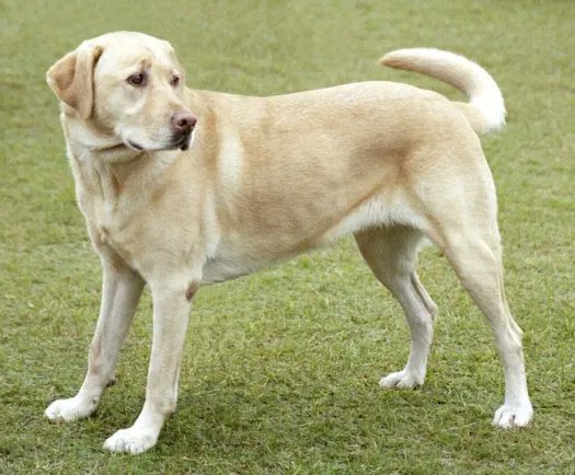 Marc Gozlan tweet media