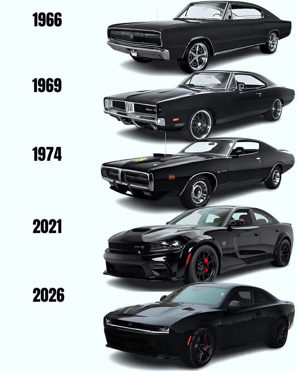 Arab Memes tweet media