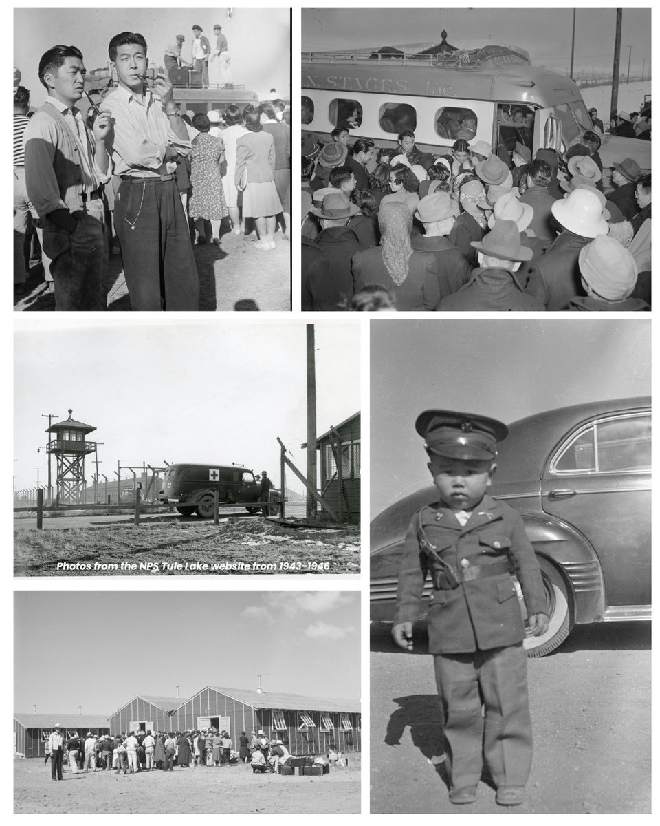 Fred T. Korematsu Institute tweet media