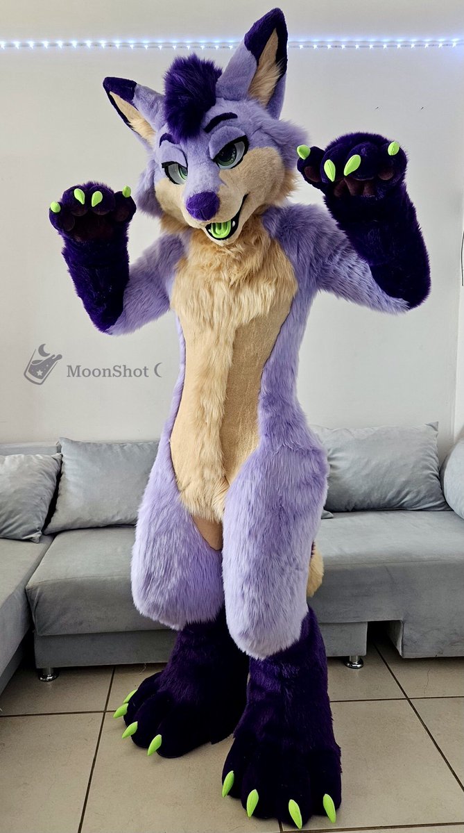 MoonShot 🌙 tweet media