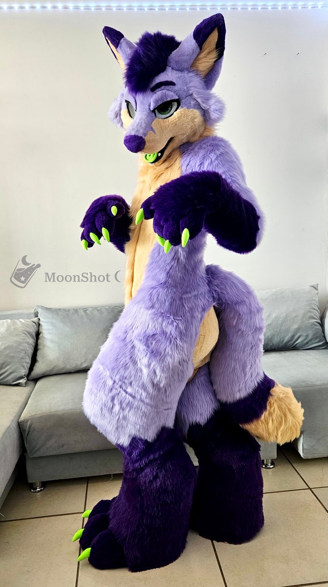 MoonShot 🌙 tweet media