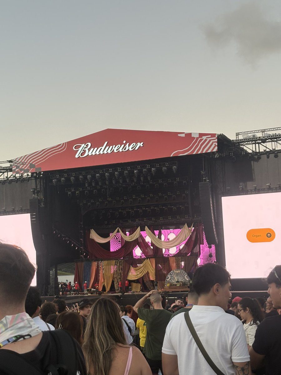 acervo dickory ⋆ ˙⋆✮ tweet media