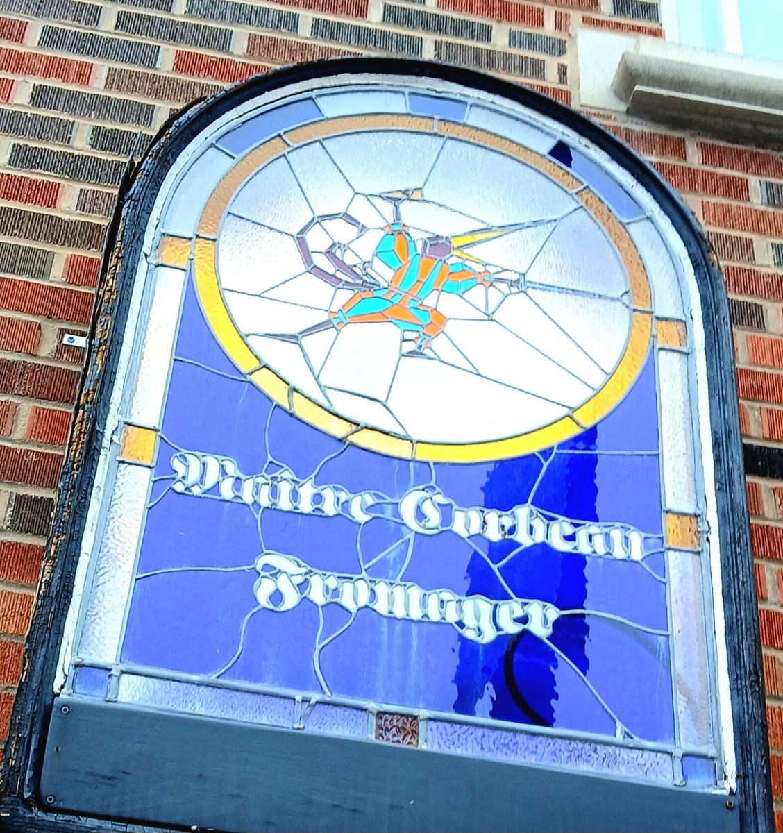 Irizaurus tweet media