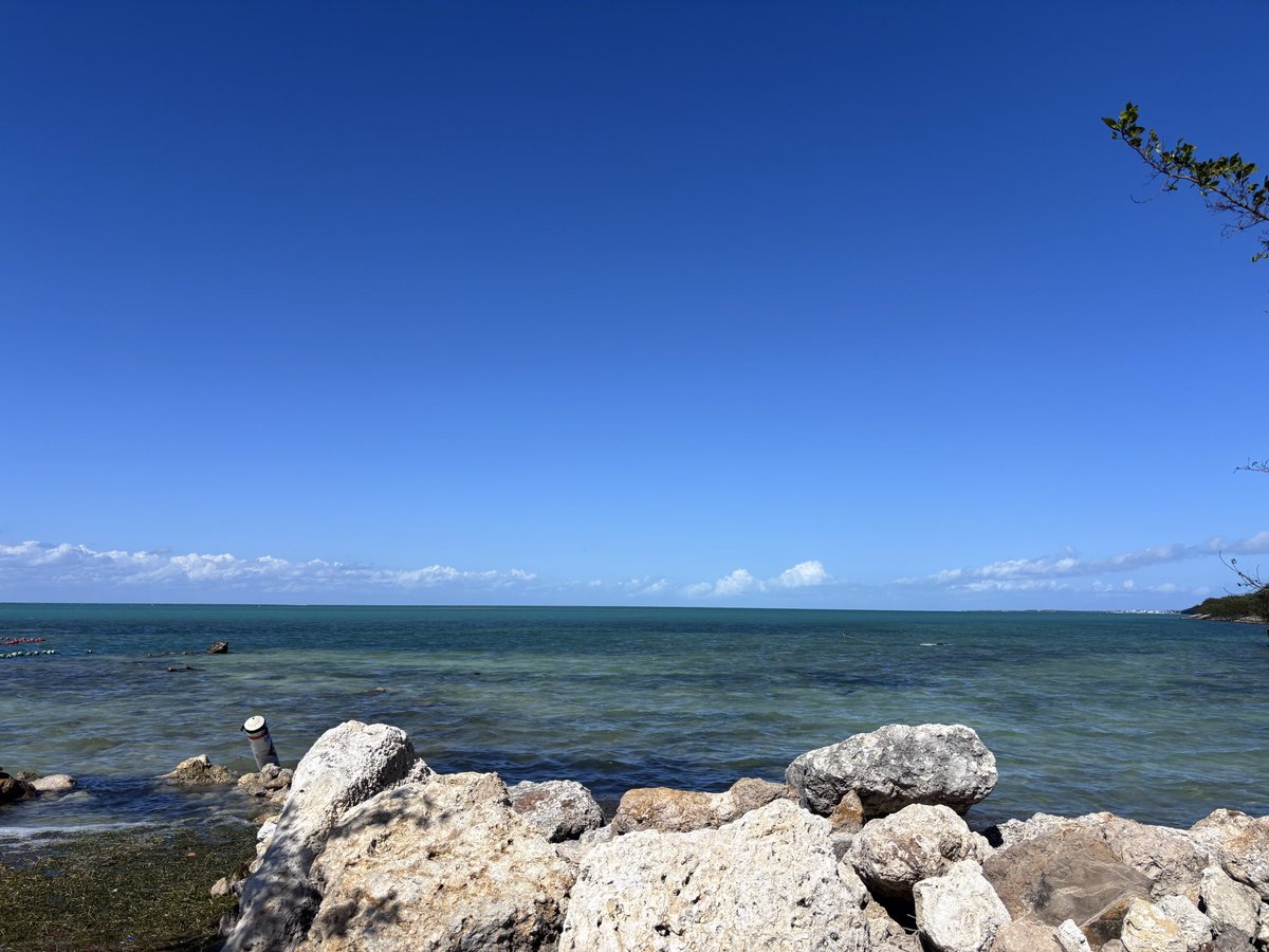 Rick Mccarthy tweet media