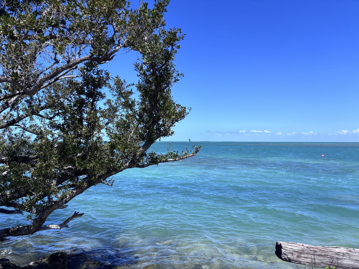 Rick Mccarthy tweet media