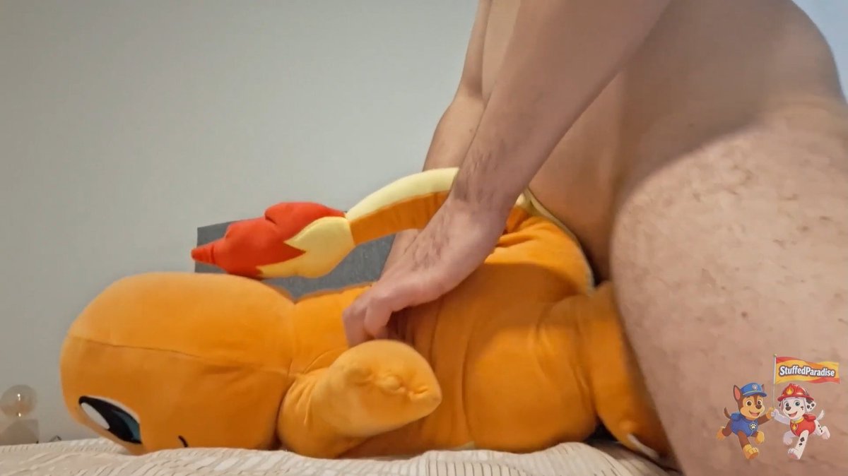 StuffedParadise 🔞 tweet media