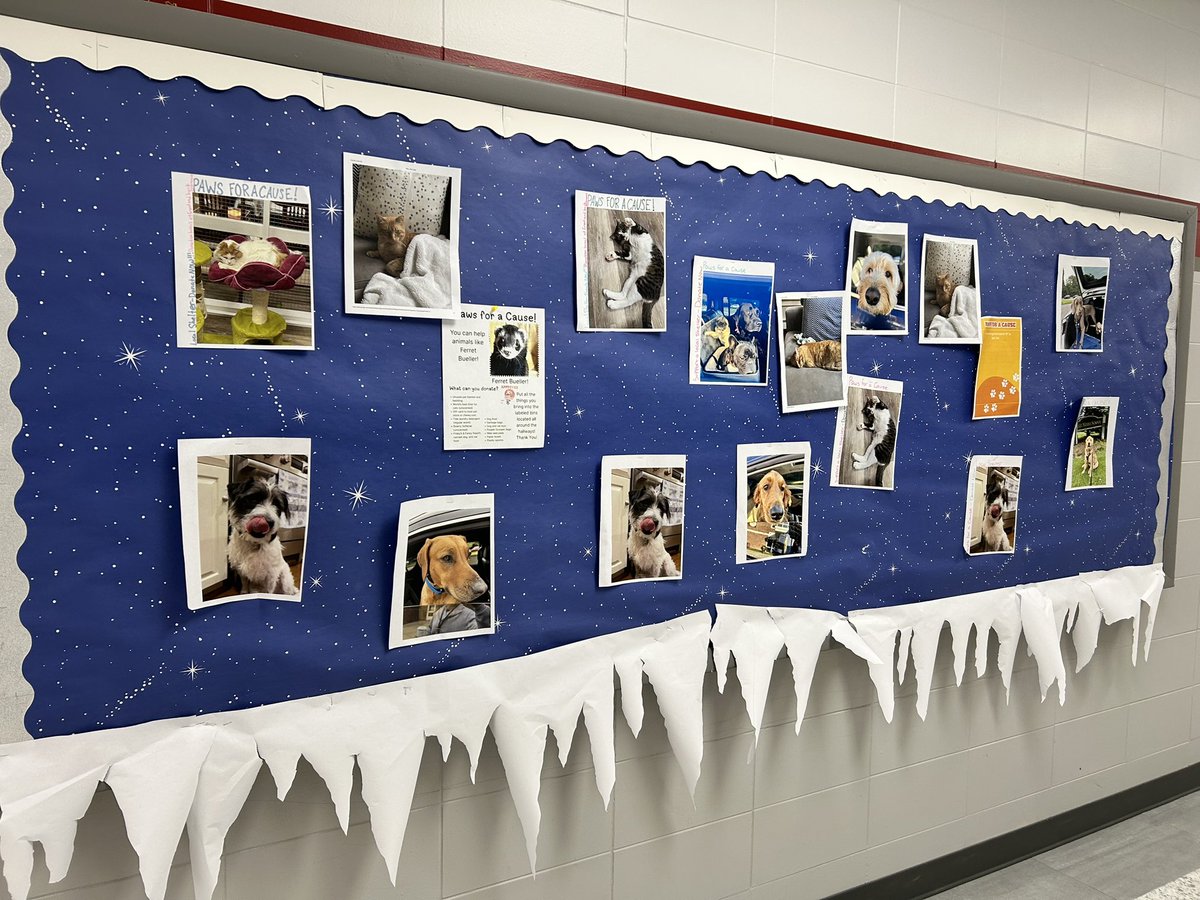 David Gusitsch tweet media