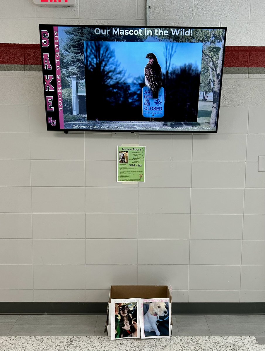 David Gusitsch tweet media