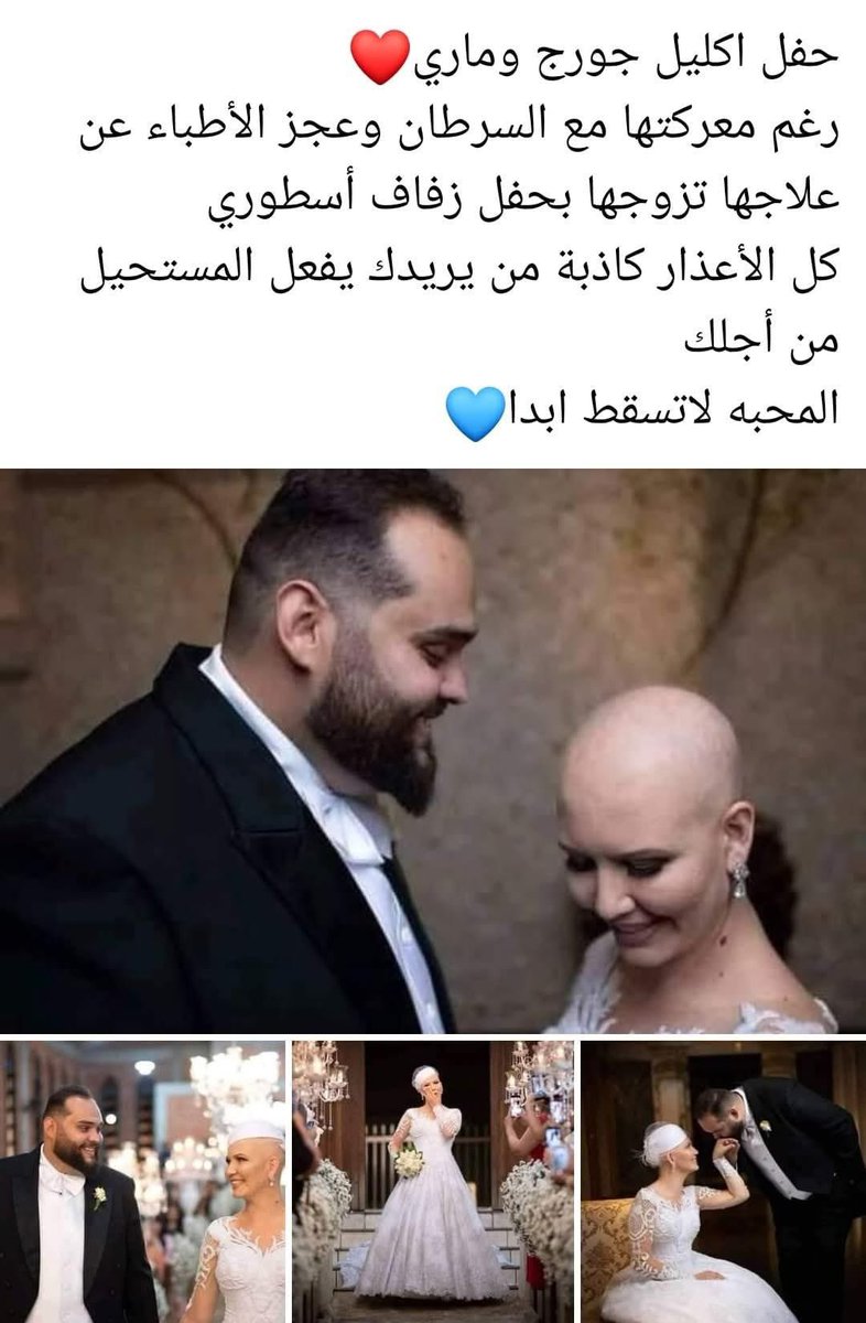 قبطي tweet media