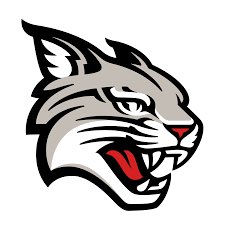 Aiden Love tweet media