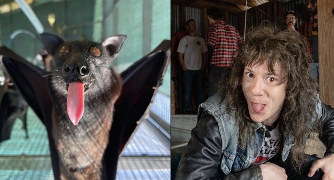 blu 🌼 tweet media