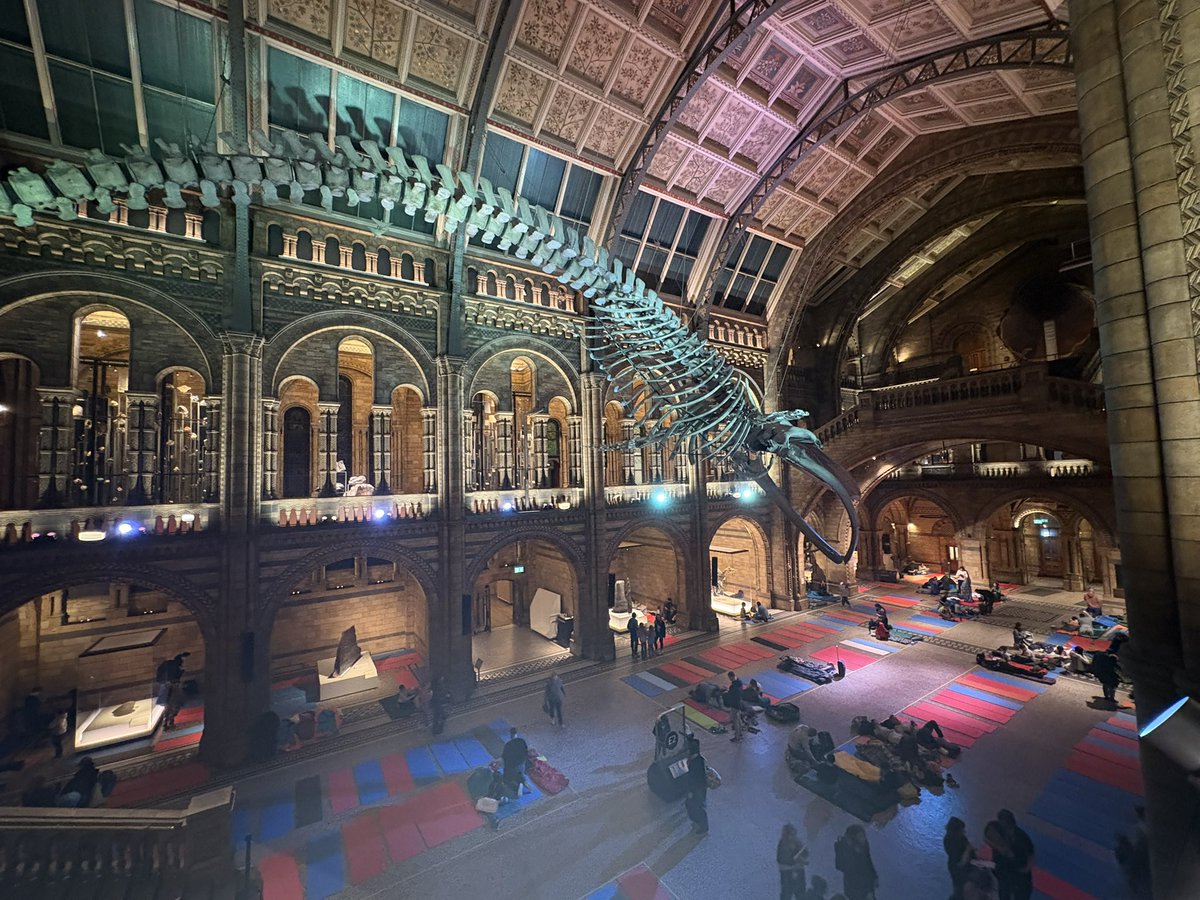 Andrew Powell-Thomas tweet media