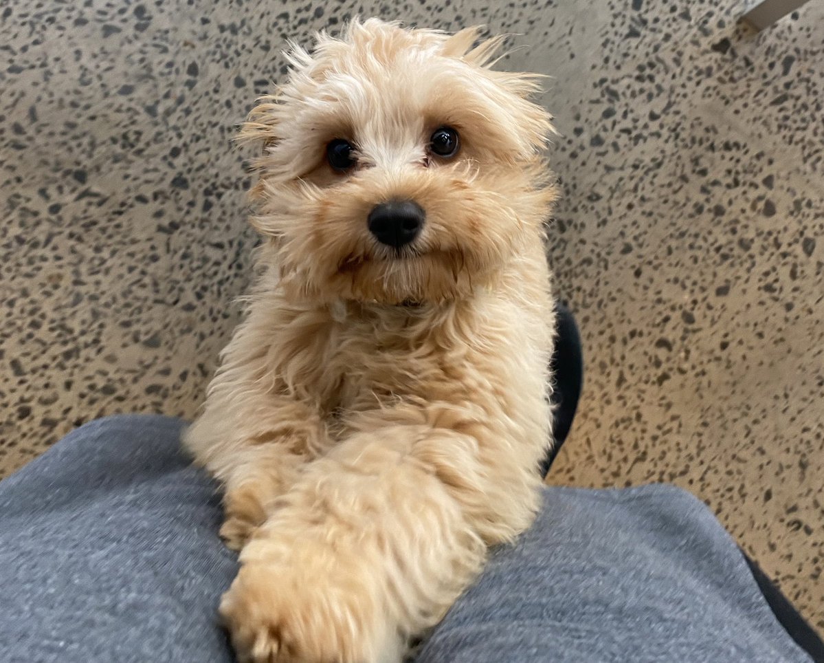 InvertMouse tweet media