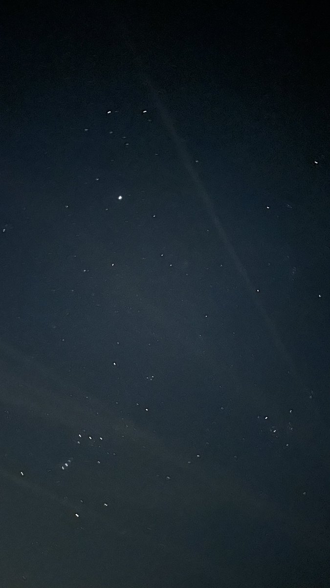 Helga van Leur ☀ tweet media