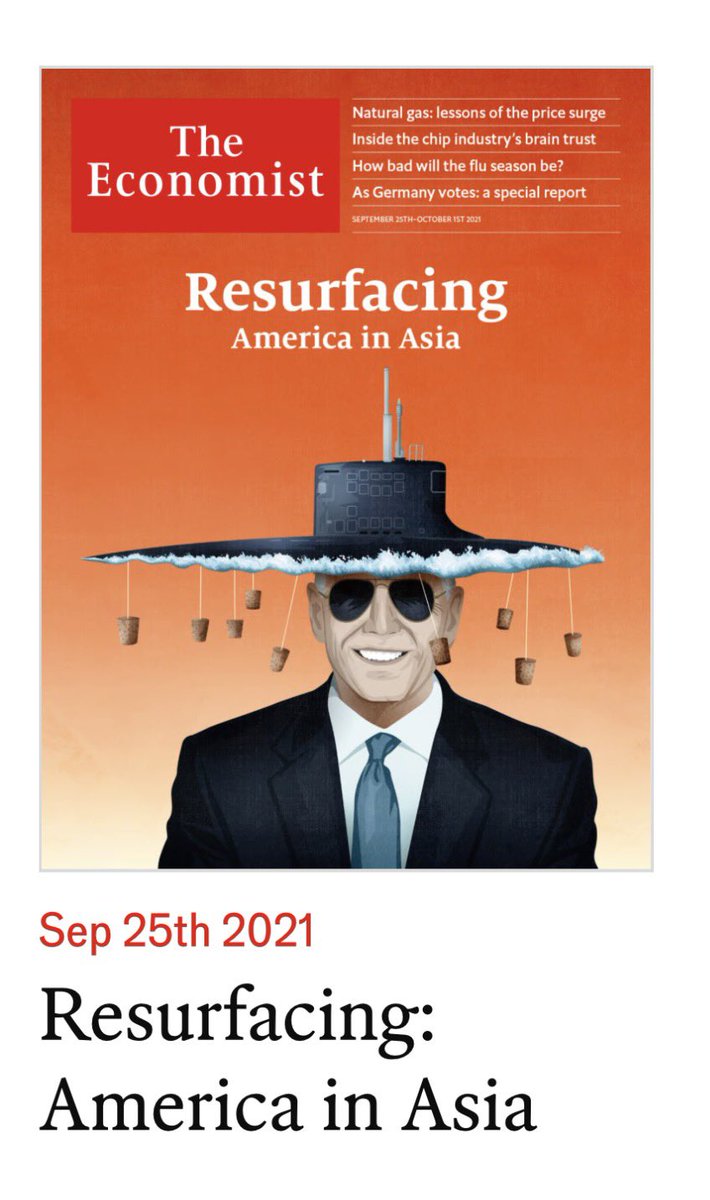 Meaghan Mobbs tweet media