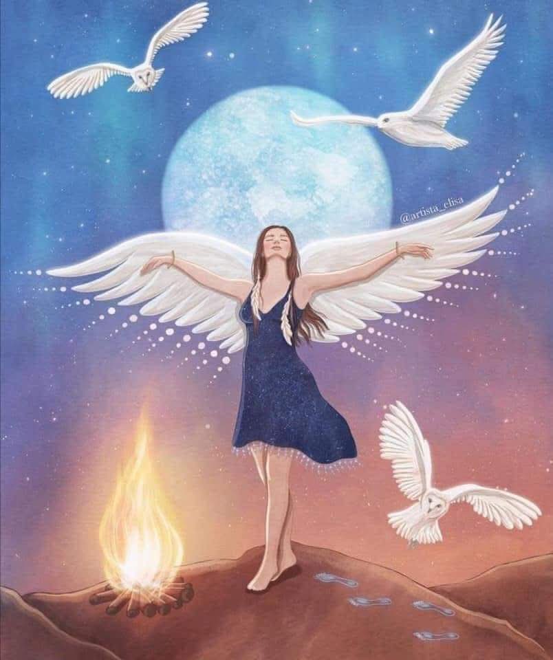 تونسية🇸🇦💍🕊️🇹🇳 tweet media