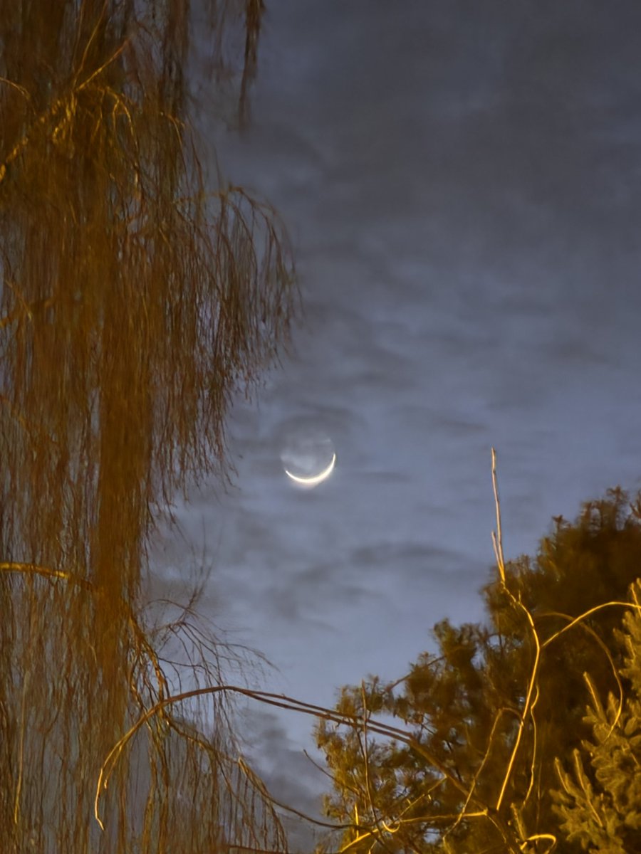 olyapka (Proud Ambassador of Barsik) tweet media